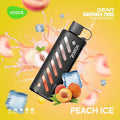 VOZOL BEACH ICE 25000