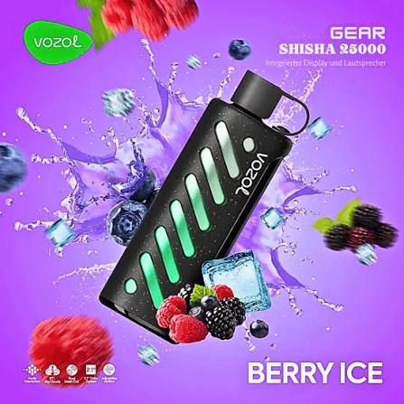 VOZOL BERYY ICE 25000